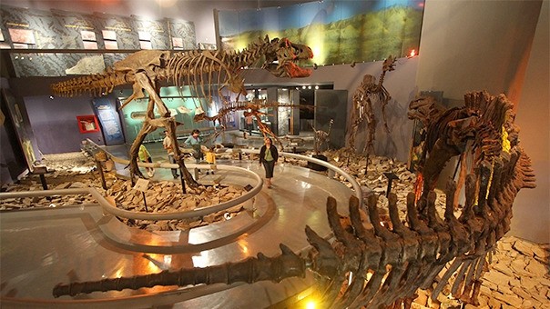 Museo del Desierto