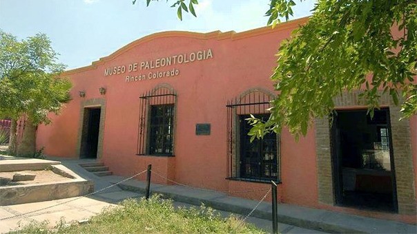 Museo Paleontol�gico de Rinc�n Colorado