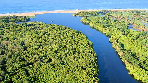 Lagunas de Manialtepec