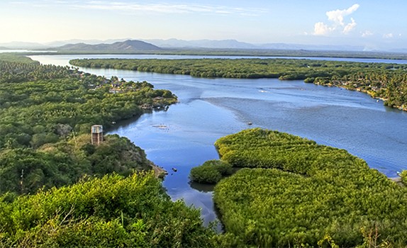 Lagos de Chacahua, criaderos de lagartos