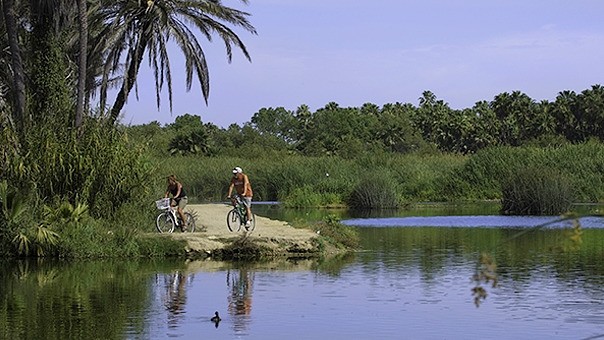 Estero San Jos� (San Jos� del Cabo)