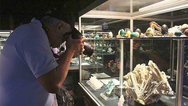Museo de Minerolog�a