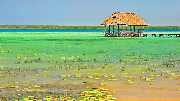 Bacalar