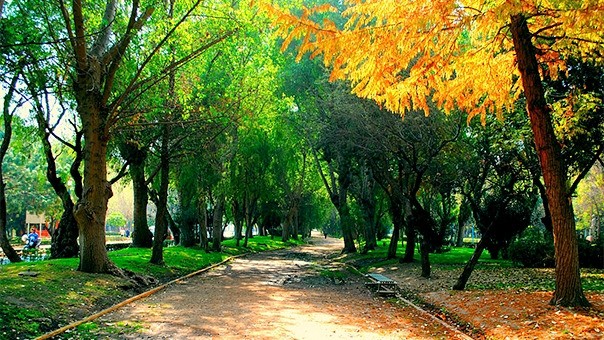 Parque Tangamanga I