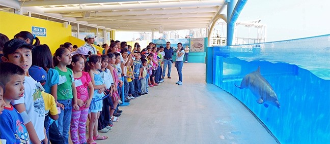 Aquarium del Puerto de Veracruz, Veracruz