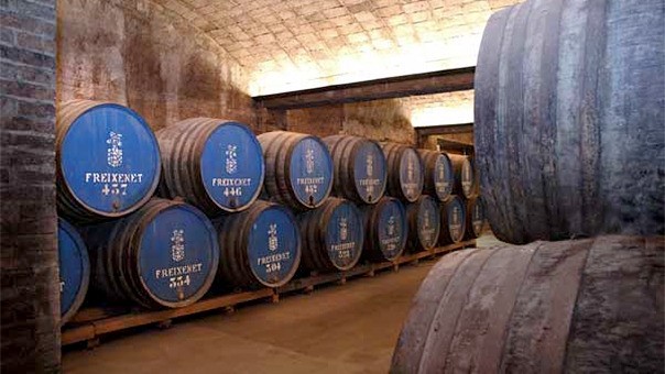 Cavas Freixenet