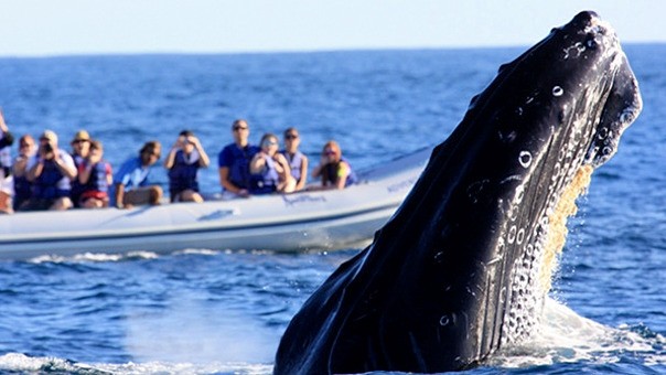 Tours de Exploraci�n, Naturaleza y Cultura