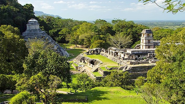 Zona Arqueol�gica de Palenque
