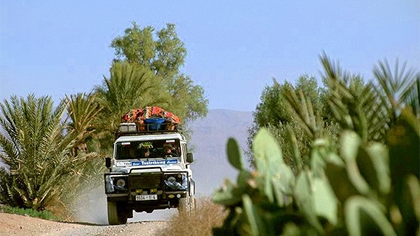 Safari Fotogr�fico