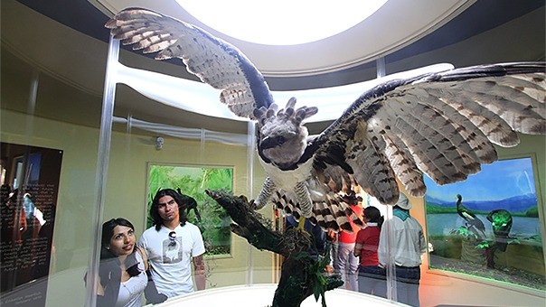 Museo de las Aves de M�xico