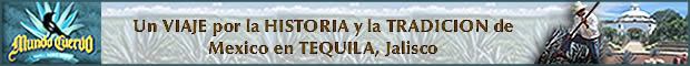 Recorridos Turisticos por Mexico