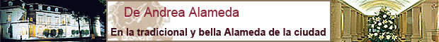 Hotel De Andrea Alameda Aguascalientes Mexico