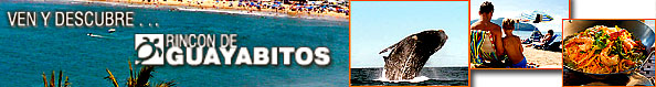 Hoteles en Rincon de Guayabitos Nayarit Mexico