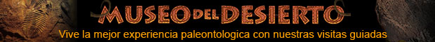 Museo del Desierto Saltillo Coahuila Mexico