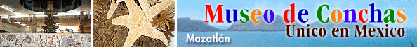 Museo de Las Conchas Mazatlan Sinaloa Mexico