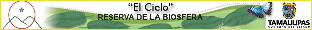 El Cielo Ciudad Victoria Tamaulipas Mexico
