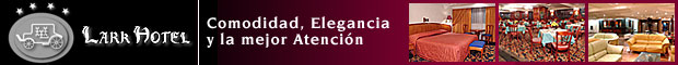 Hotel Lark Ciudad de Mexico Distrito Federal
