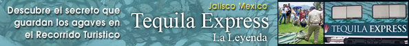 Tequila Express Guadalajara Jalisco Mexico