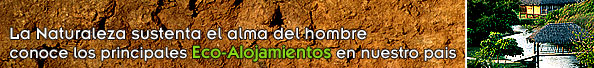 Eco - Alojamientos en Mexico