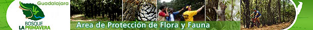 Bosque la Primavera Guadalajara Jalisco Mexico