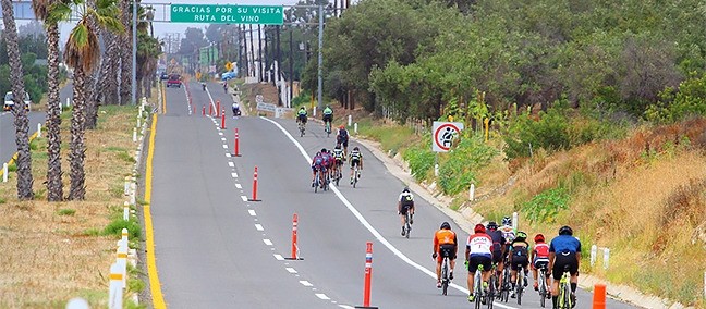 Ruta del Vino Bike Ride, Valle de Guadalupe