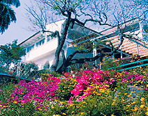 Hotel JACARANDAS, Cuernavaca