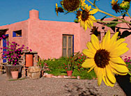 Hotel LAS GUACAMAYAS, Casas Grandes