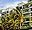 HOTEL LA CONCHA BEACH RESORT, La Paz