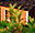 HOTEL VILLAS CUETZALAN, Cuetzalan