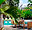 HOTEL COMFORT INN TAPACHULA KAMICO, Tapachula