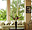 HOTEL SANTA LUISA FINCA - RESORT, Tecolutla