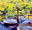 HOTEL VILLAS CUETZALAN, Cuetzalan