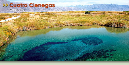 Cuatro Cienegas - Cuatro Cienegas, Coahuila