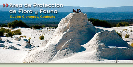 Area de Proteccion Cuatro Cienegas - Cuatro Cienegas, Coahuila