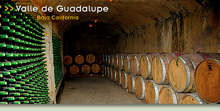Valle de Guadalupe - Valle de Guadalupe, Baja California