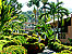 Hotel EL TROPICANO Acapulco (4 estrellas)