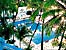 Hotel ELCANO Acapulco (5 estrellas)