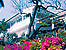 Hotel JACARANDAS Cuernavaca (5 estrellas)