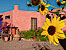 Hotel LAS GUACAMAYAS Casas Grandes (Boutique)