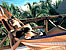 Hotel SHANGRI - LA CARIBE Playa del Carmen ()