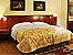 Hotel HOSTAL DEL ANGEL Morelia (Categoria Especial)