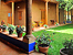 Hotel POSADA YOLIHUANI Patzcuaro (Bed and Breakfast)