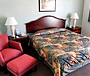 Hotel PARADOR CHIHUAHUA Chihuahua (4 estrellas)