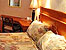 Hotel SAN ANGEL  (5 estrellas)