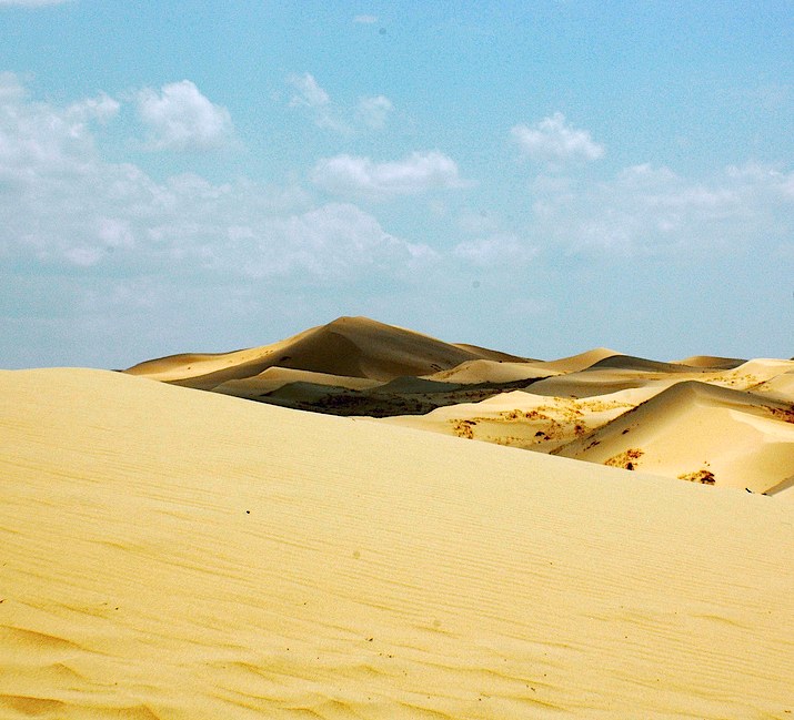 Dunes of Samalayuca
