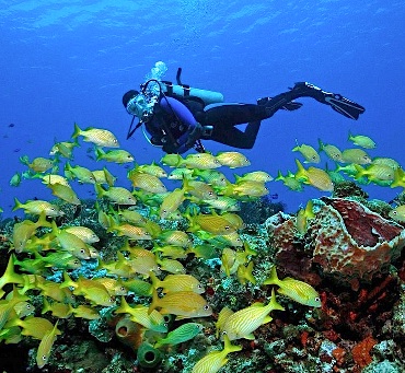 Franja Norte y Oriental de la Isla de Cozumel