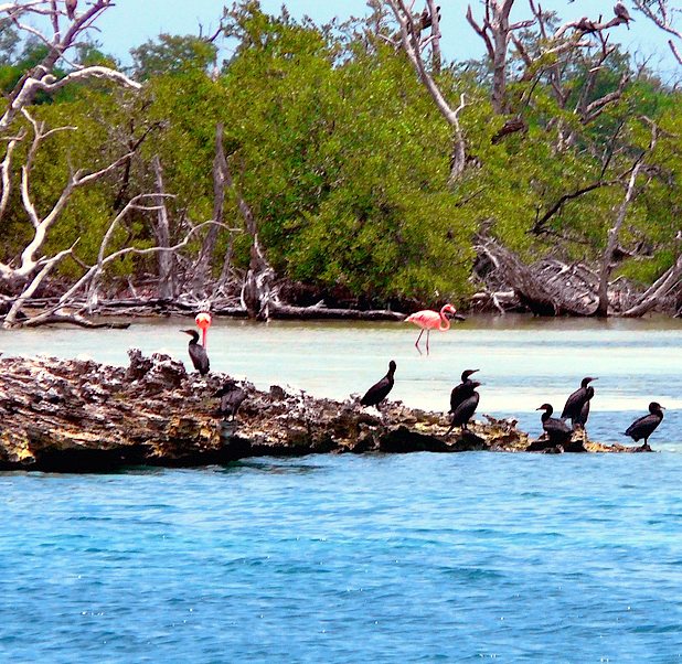 Santuario Natural de Aves