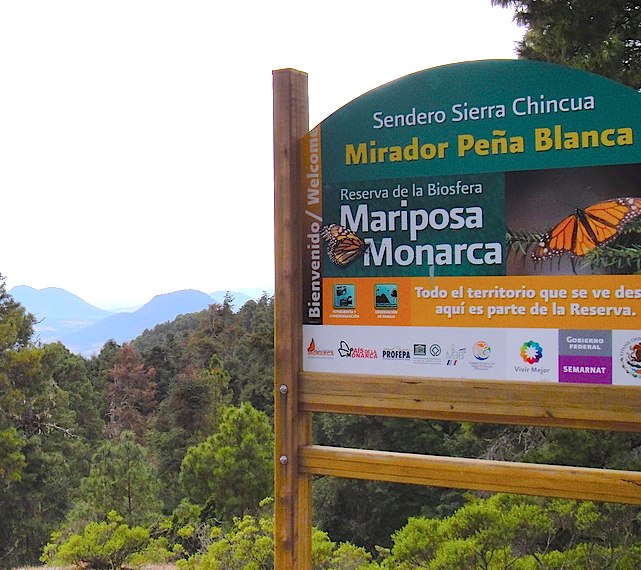 Monarca Butterfly Sanctuary