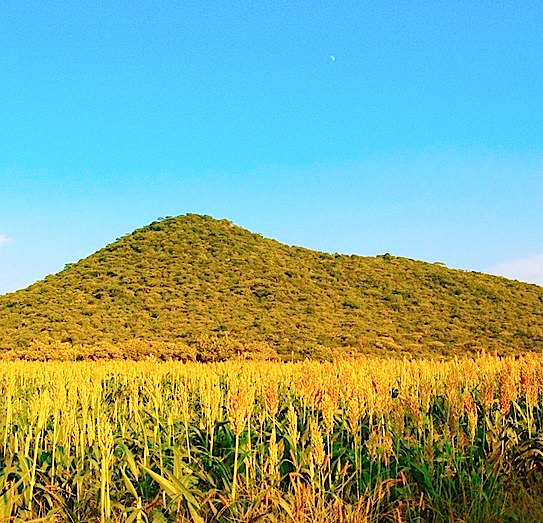 Sierra de Huautla