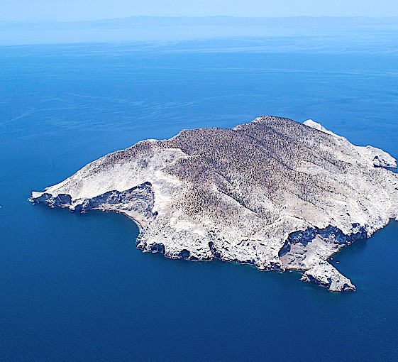 Isla San Pedro Mártir